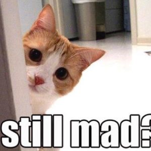 Meet your Posher, Jean